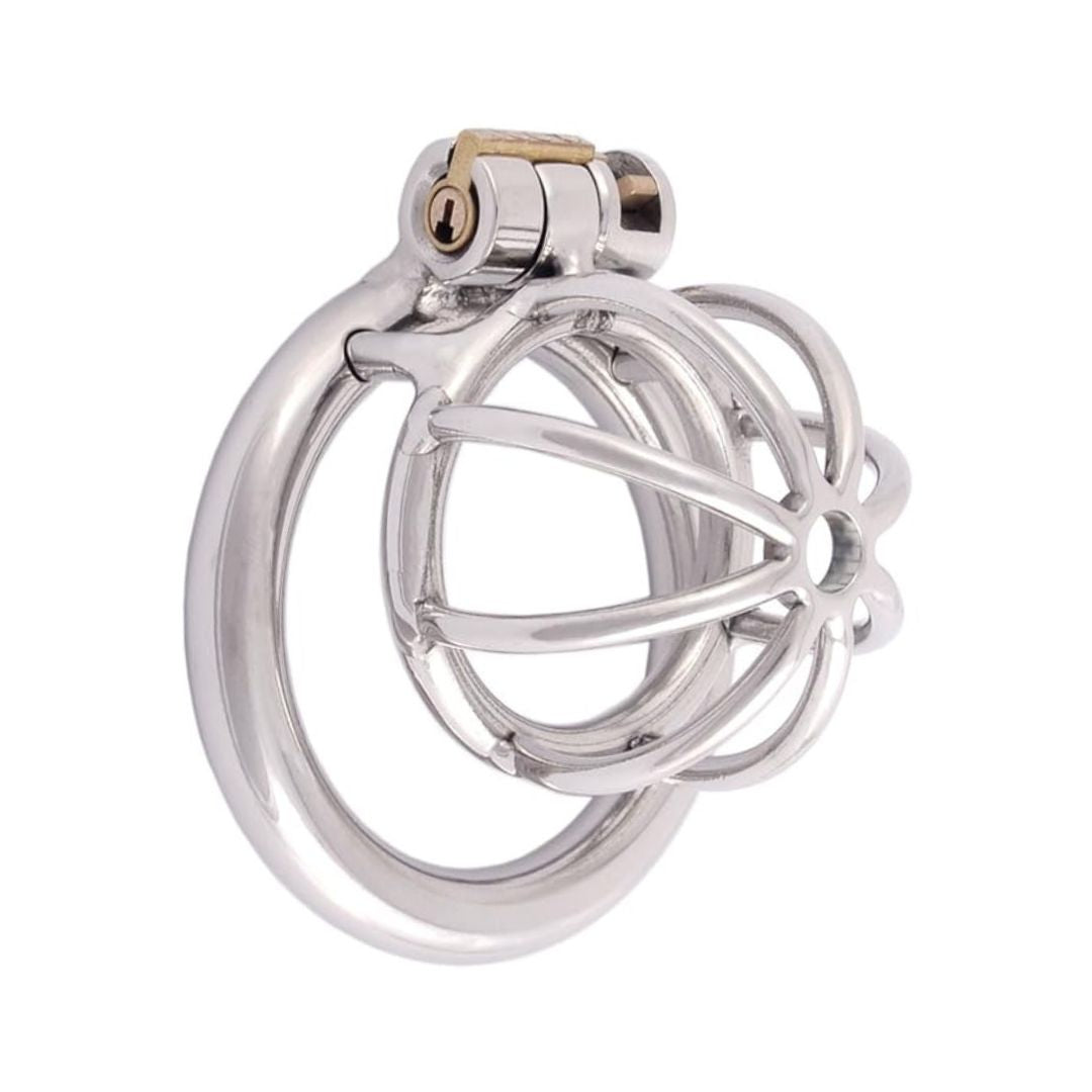 Small size stainless steel chastity cage